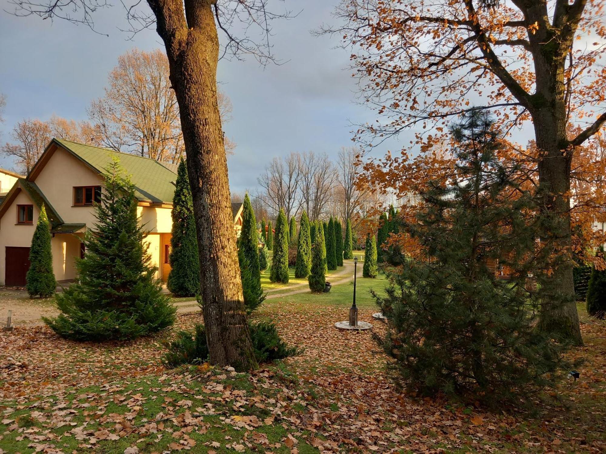 Forest Edge House Riika